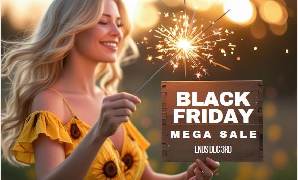 Black Friday ✨