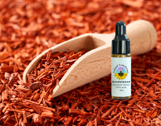 Sandalwood Essential Oil 5ml