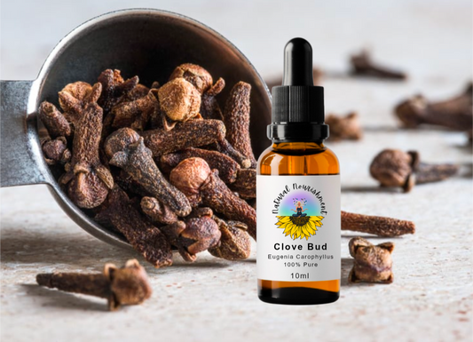 Clove Bud Essential oil